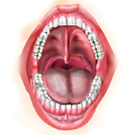 illustrasyon01