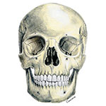 illustrasyon01